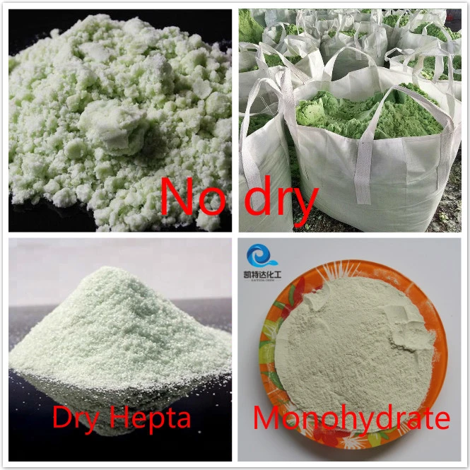 Ferrous Sulphate Monohydrate Feed Grade Animal Nutrition Feed Additives